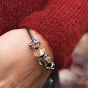 KORALIK Trollbeads, Winter's Delight